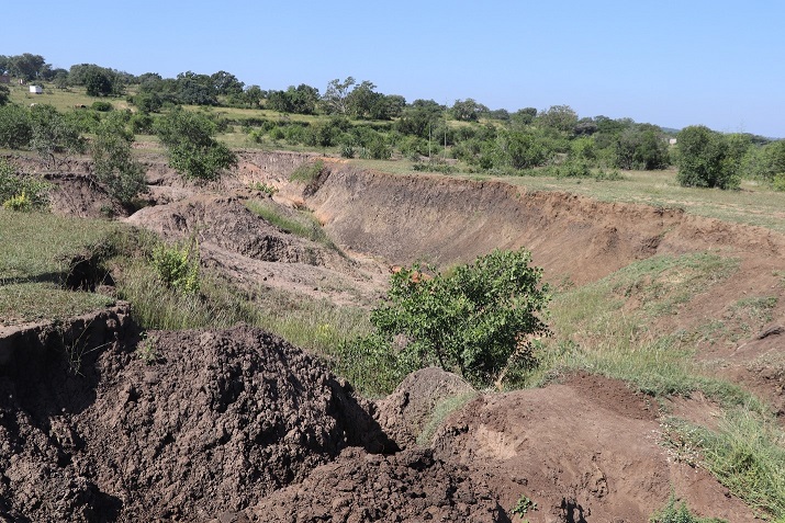 land degradation
